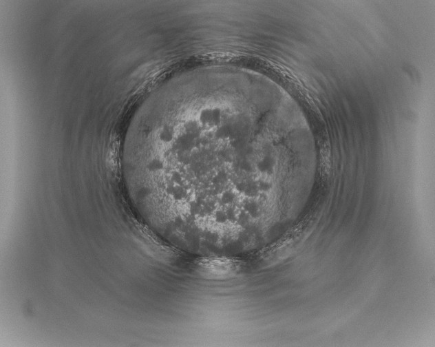 X0000115550181200911201808