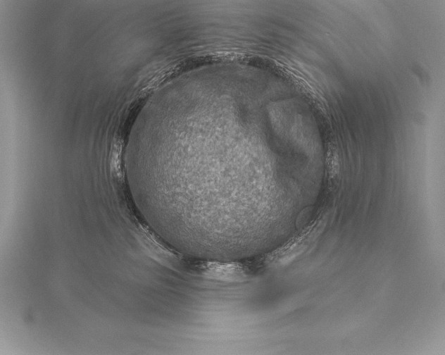 X0000115550185200911201808