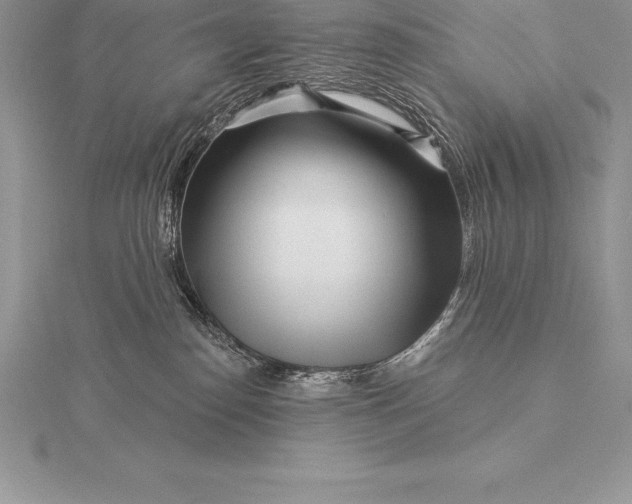 X0000115550186200911201808