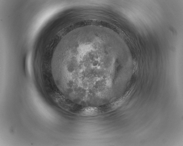 X0000115550189200911201808