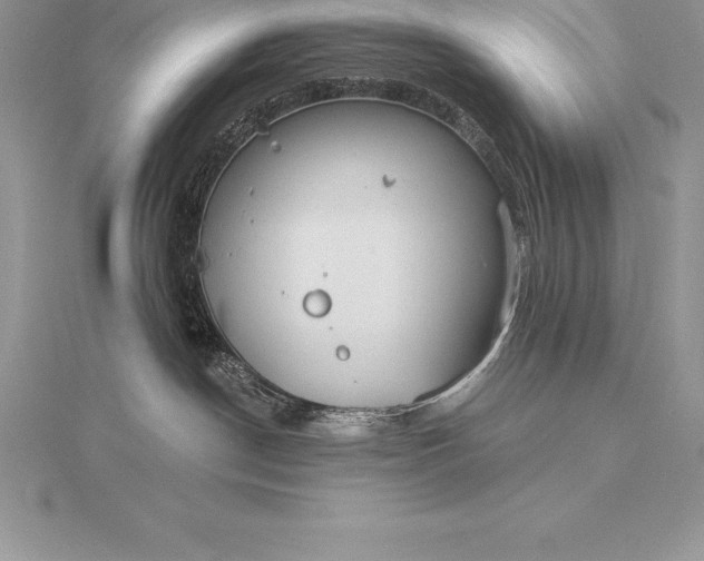 X0000115550190200911201808