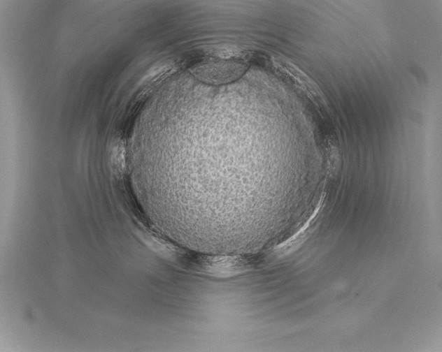 X0000115550191200911201809