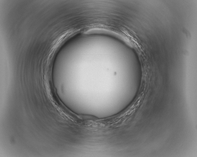 X0000115550193200911201808