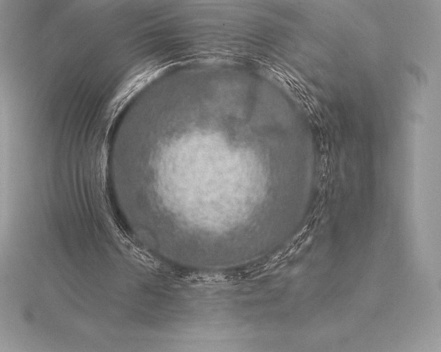 X0000115550194200911201808