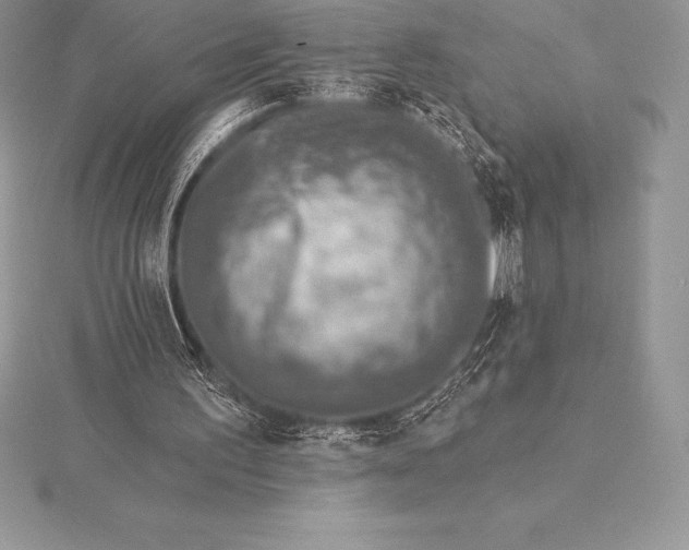 X0000115550195200911201808