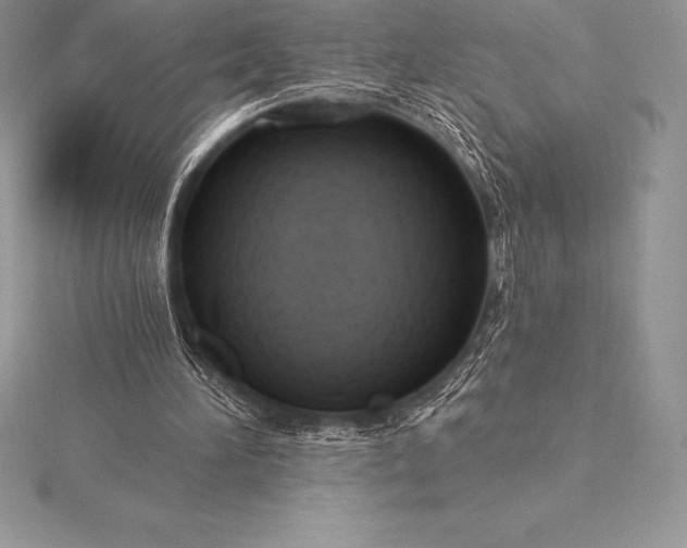 X0000115550196200911201808