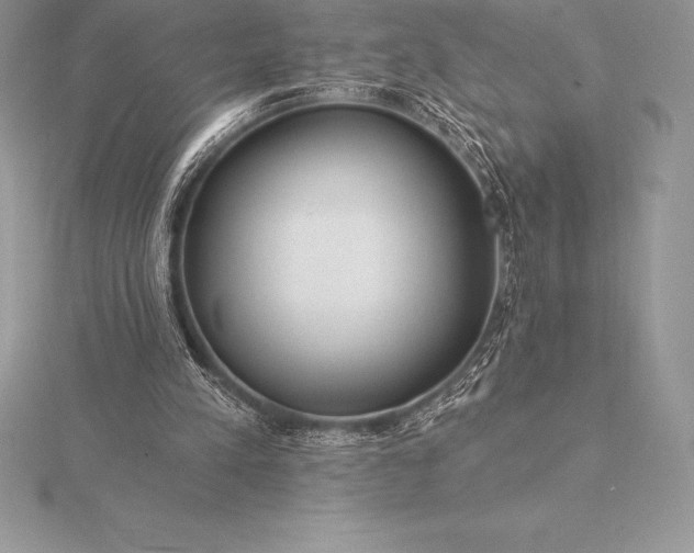 X0000115550197200911201808