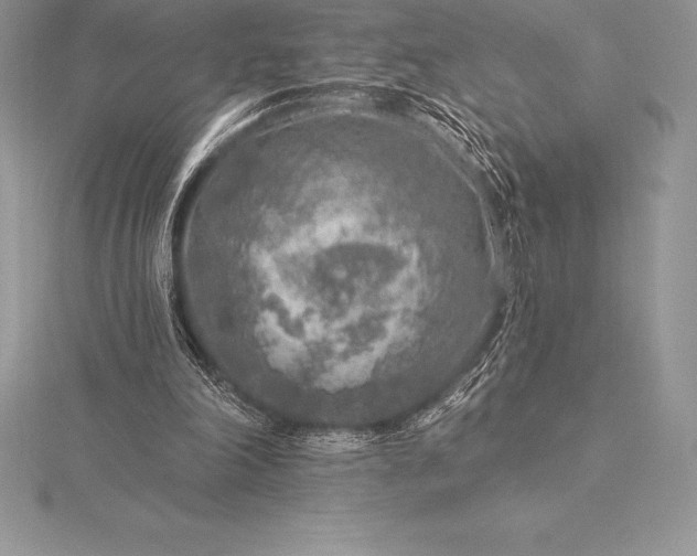 X0000115550198200911201808