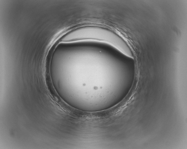 X0000115550199200911201808