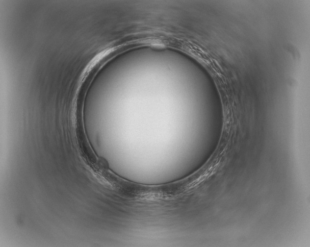 X0000115550200200911201808