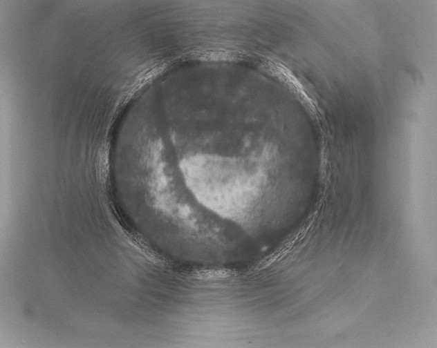 X0000115550202200911201808