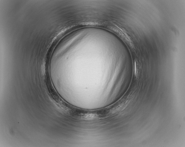 X0000115550204200911201808