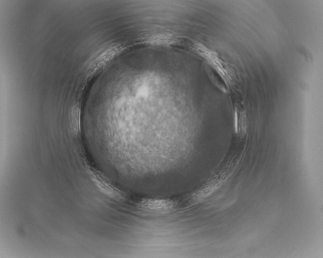 X0000115550205200911201808