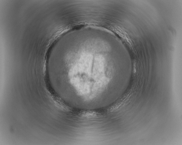 X0000115550206200911201808