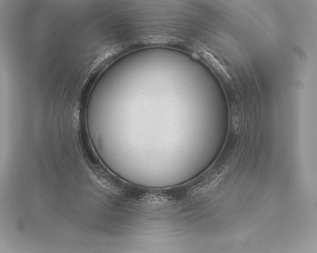 X0000115550207200911201808