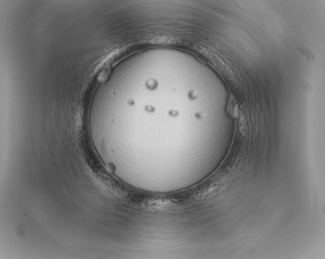 X0000115550208200911201808