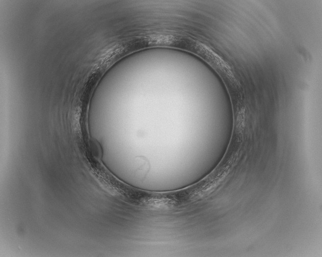 X0000115550209200911201808