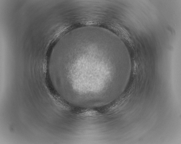 X0000115550210200911201808