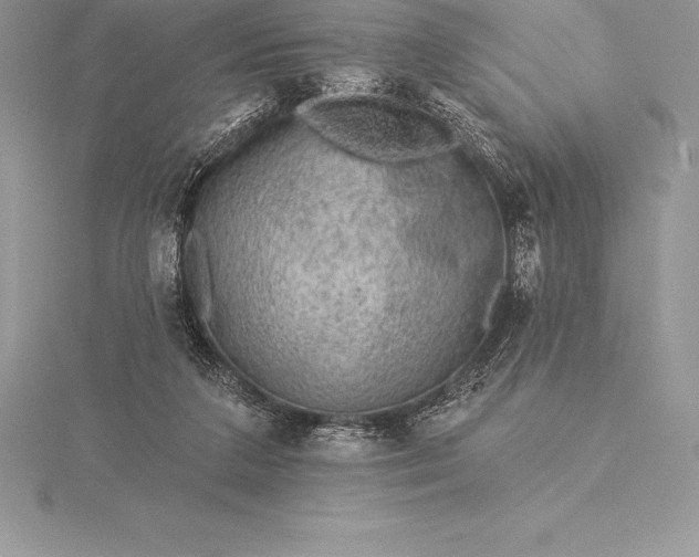 X0000115550211200911201808