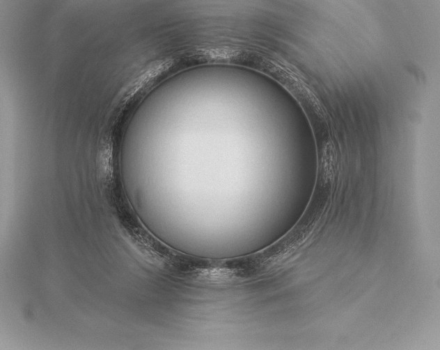 X0000115550212200911201808