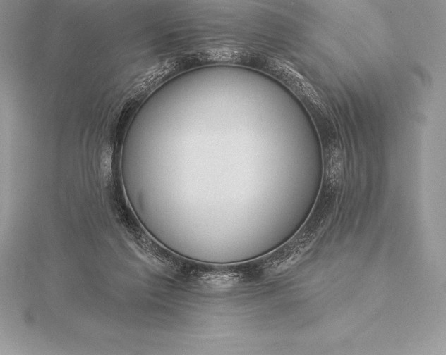 X0000115550213200911201808