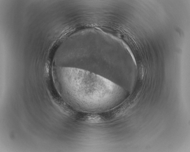 X0000115550214200911201808