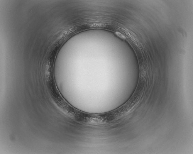 X0000115550215200911201808