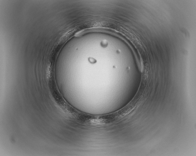 X0000115550216200911201808