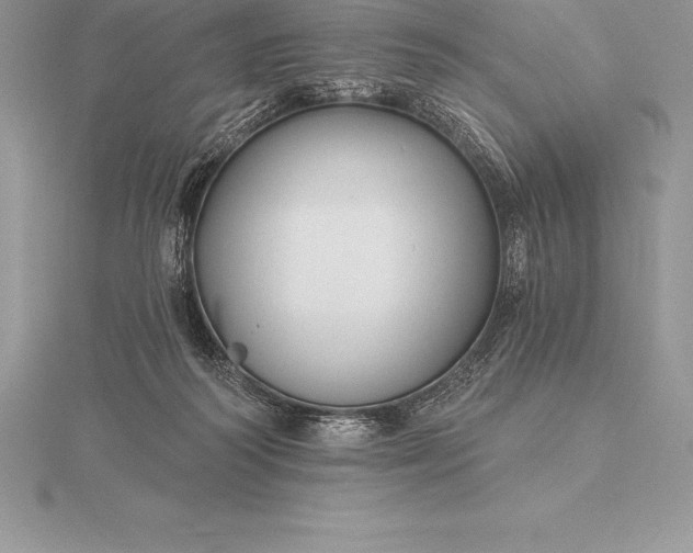 X0000115550218200911201807