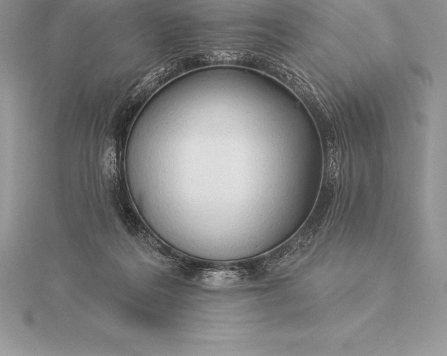 X0000115550220200911201807