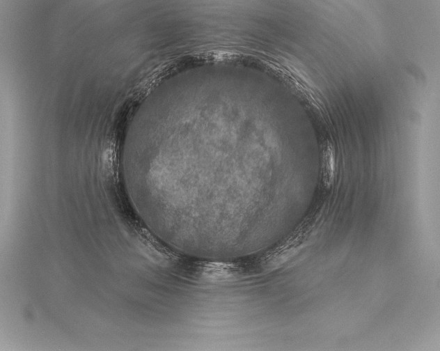 X0000115550222200911201807