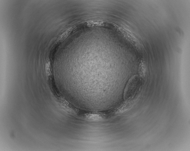 X0000115550224200911201807