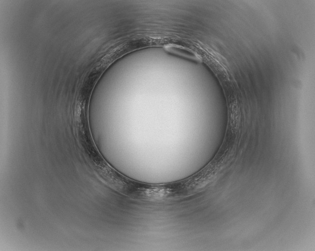 X0000115550225200911201807