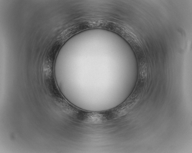 X0000115550226200911201807