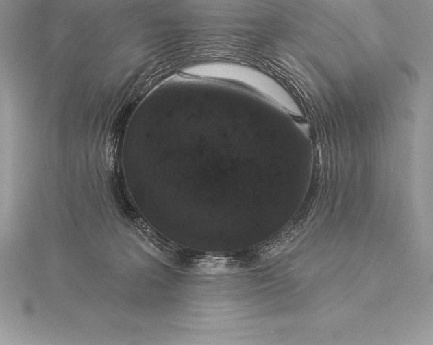 X0000115550227200911201807