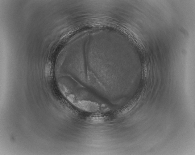 X0000115550228200911201807