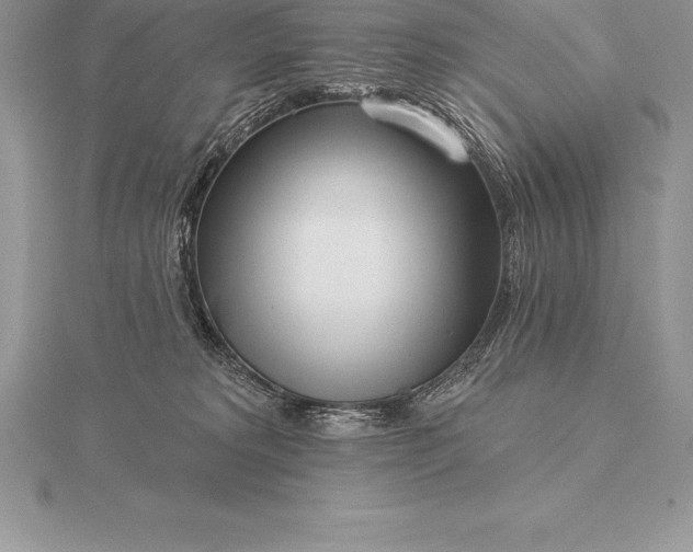 X0000115550229200911201807