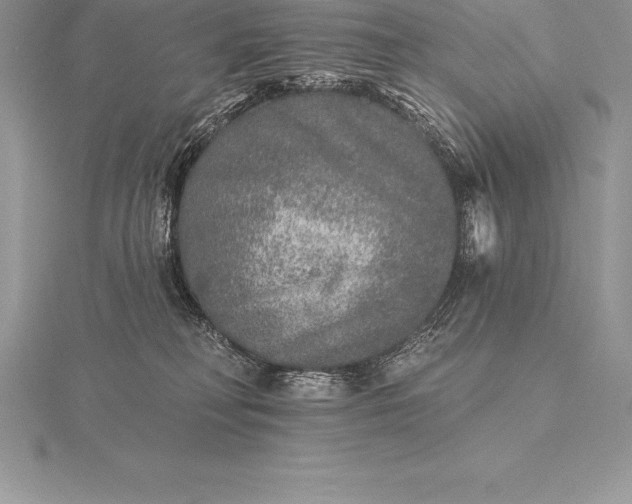 X0000115550230200911201807