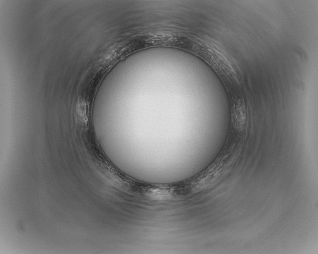 X0000115550232200911201807