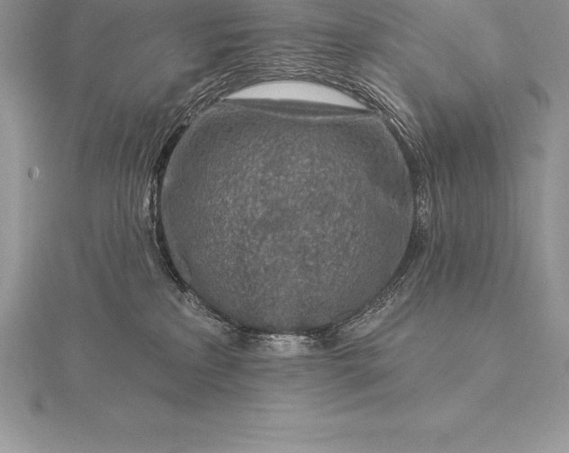 X0000115550233200911201807