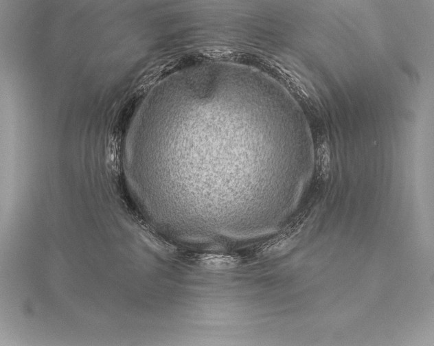 X0000115550234200911201807