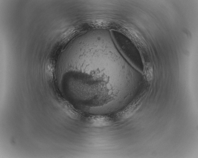 X0000115550235200911201807