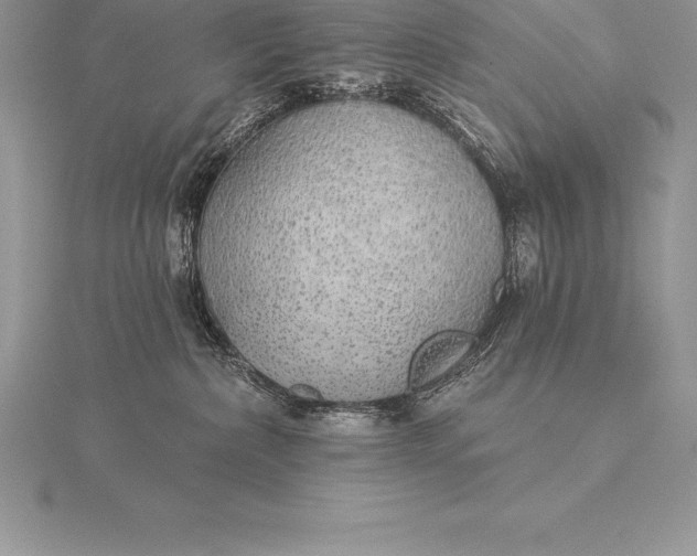 X0000115550236200911201807