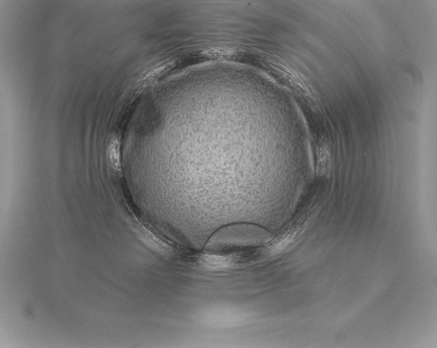 X0000115550238200911201807