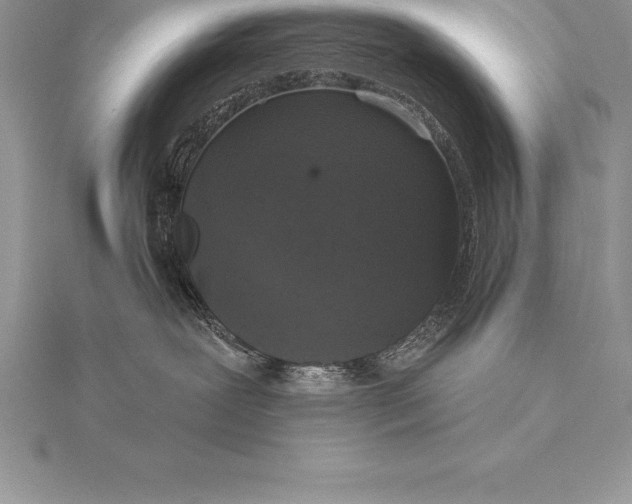 X0000115550239200911201807