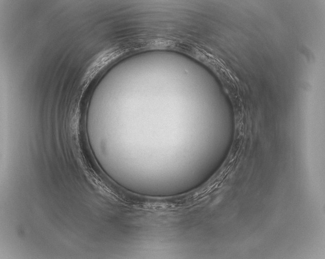 X0000115550242200911201807