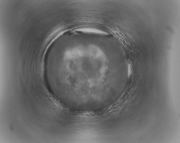 X0000115550243200911201807