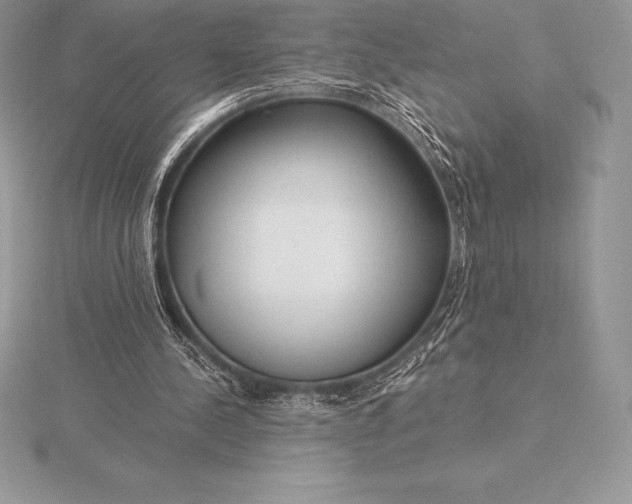 X0000115550244200911201807