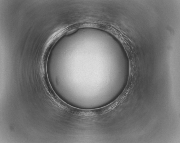 X0000115550245200911201807