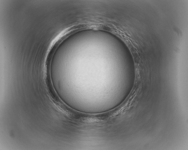 X0000115550246200911201807